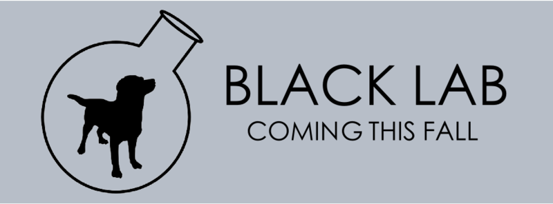 blacklab1